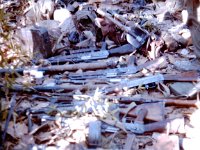 Captured weapons from one of the villages along the way.